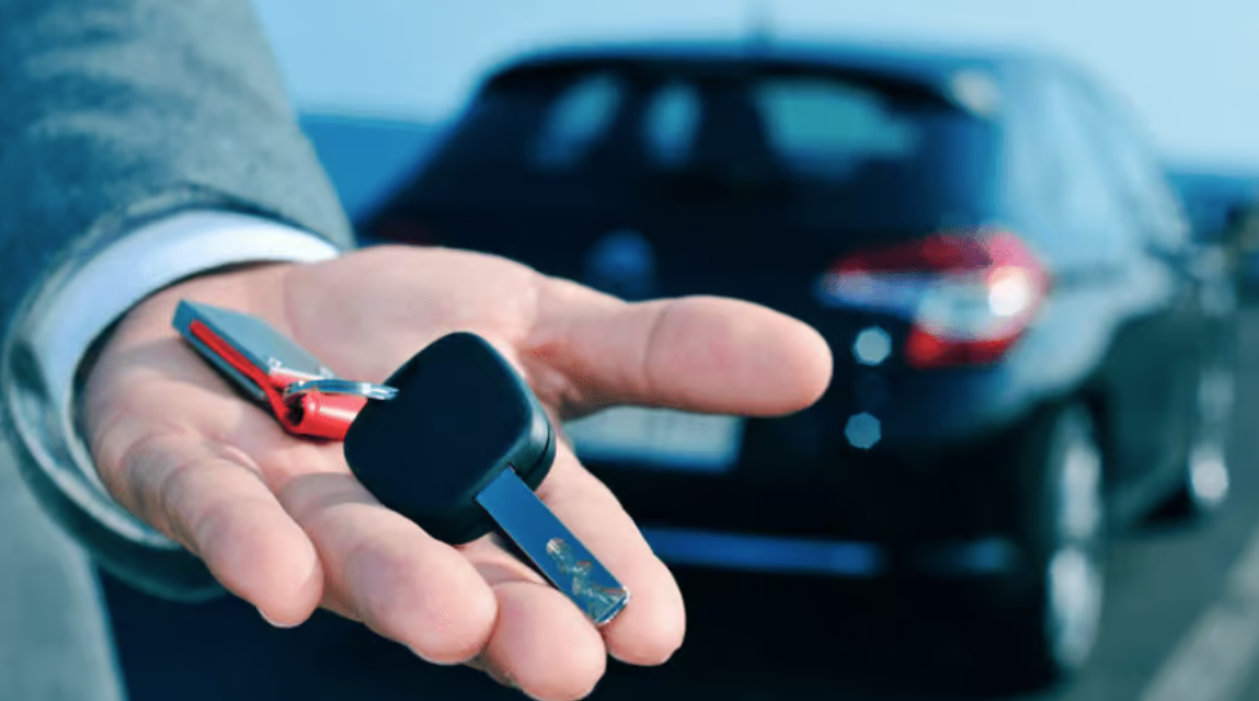 Cars Rental