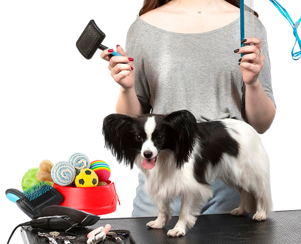 Pets & Pet Care